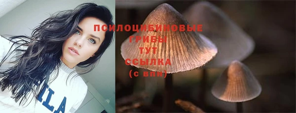 экстази Абаза
