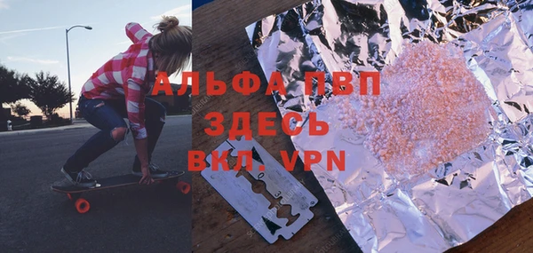 стаф Новокубанск