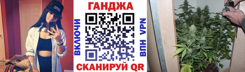 Конопля сатива  MEGA сайт  Суздаль 